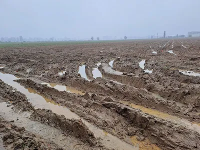 Resilienza della filiera ortofrutticola in tempi di cambiamenti climatici: l’impegno in prima linea di ASIPO SAC