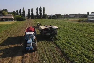 Filiera soci produttori