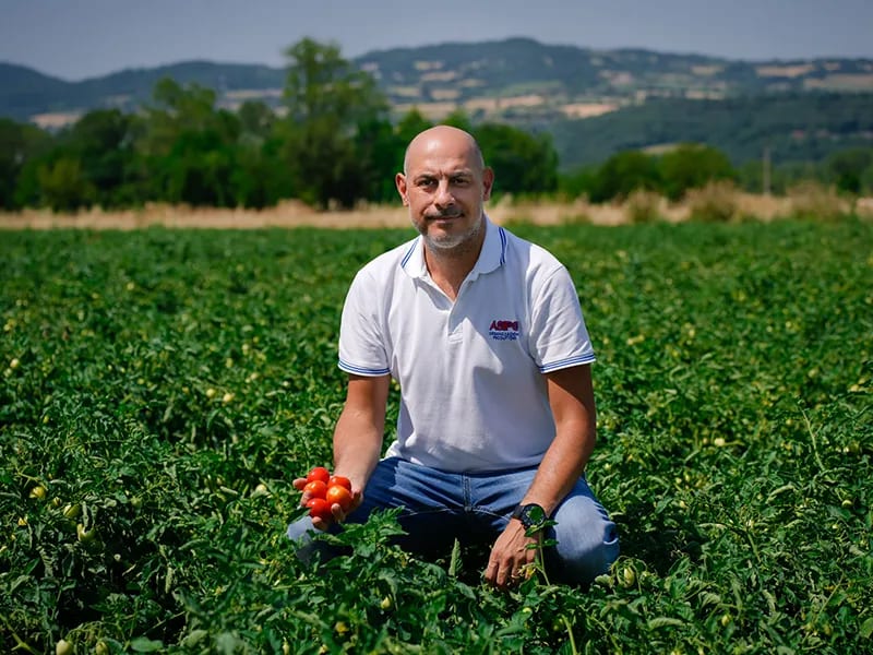 Bertoli Michele